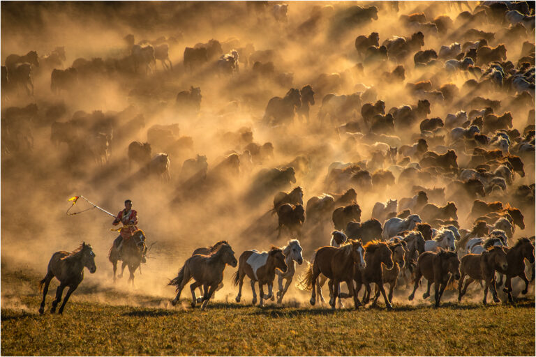Lee Eng Tan - Horses-Charging-6